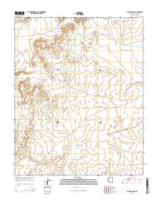 Blue Spring SE 2014 topographic map thumbnail
