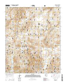 Pinedale 2014 topographic map thumbnail