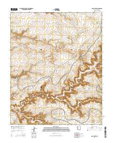 Del Muerto 2014 topographic map thumbnail