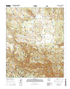 Dutton Hill 2014 topographic map thumbnail