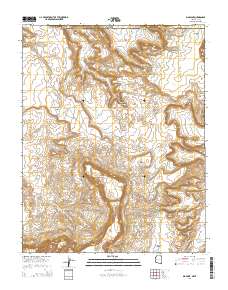 Big Point 2014 topographic map thumbnail