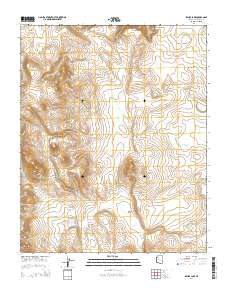 Bishop Lake 2014 topographic map thumbnail