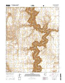 Blue Spring 2014 topographic map thumbnail
