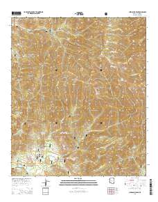 Chiricahua Peak 2014 topographic map thumbnail