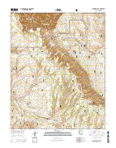 Grandview Point 2014 topographic map thumbnail