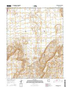 Lizard Point 2014 topographic map thumbnail