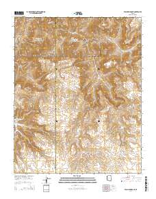 Peach Springs NE 2014 topographic map thumbnail