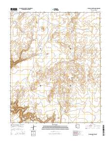 Pillow Mountain 2014 topographic map thumbnail