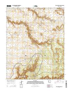 Red Cornfield Mesa 2014 topographic map thumbnail