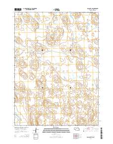 Long Lake SW 2014 topographic map thumbnail