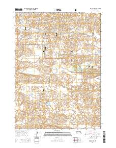 Spring Lake 2014 topographic map thumbnail
