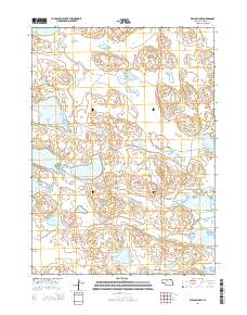 Willow Lake 2014 topographic map thumbnail