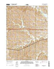 Pleasant Dale 2014 topographic map thumbnail
