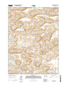 Bunner Lake 2014 topographic map thumbnail