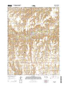 Nelson 2014 topographic map thumbnail