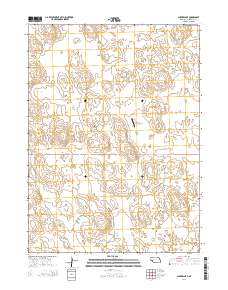 Snyder Lake 2014 topographic map thumbnail