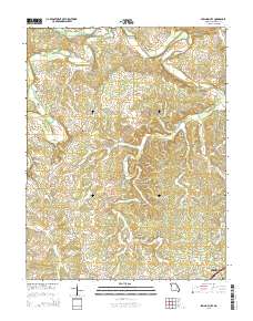 Spring Bluff 2015 topographic map thumbnail