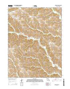 Downing NW 2015 topographic map thumbnail