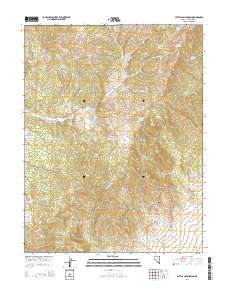 Cattle Camp Spring 2014 topographic map thumbnail