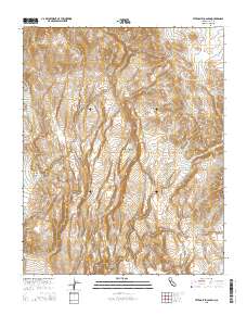 Petroglyph Canyon 2015 topographic map thumbnail