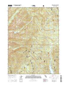 Covington Mill 2015 topographic map thumbnail