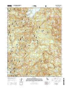 Loon Lake 2015 topographic map thumbnail