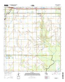 Lacassine 2015 topographic map thumbnail