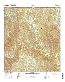 Laurel Hill 2015 topographic map thumbnail