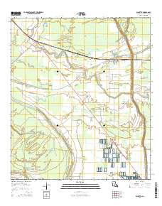 Palmetto 2015 topographic map thumbnail