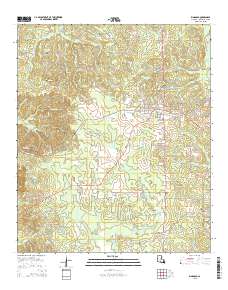 Ringgold 2015 topographic map thumbnail