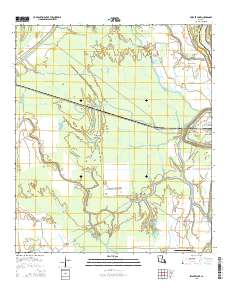 Swayze Lake 2015 topographic map thumbnail