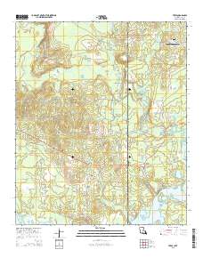 Trees 2015 topographic map thumbnail