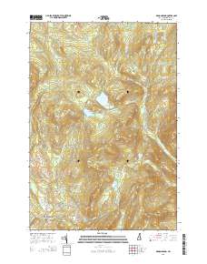 Diamond Pond 2015 topographic map thumbnail