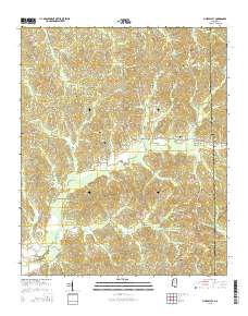 Pine Valley 2015 topographic map thumbnail