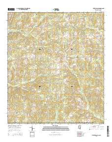 Tylertown SE 2015 topographic map thumbnail