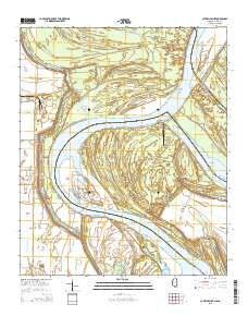 Catfish Point 2015 topographic map thumbnail