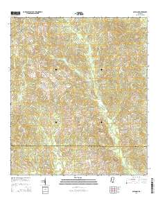 Savannah 2015 topographic map thumbnail