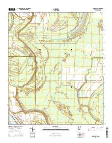 Cane Bayou 2015 topographic map thumbnail