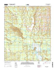 Bluff Lake 2015 topographic map thumbnail