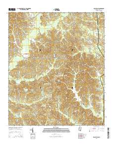 Decatur NW 2015 topographic map thumbnail