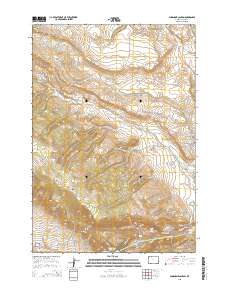 Shoshone Canyon 2015 topographic map thumbnail
