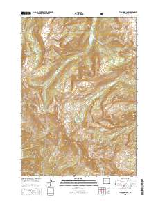 Turquoise Lake 2015 topographic map thumbnail