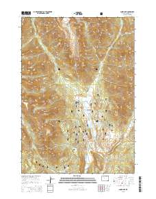 Snow Lake 2015 topographic map thumbnail