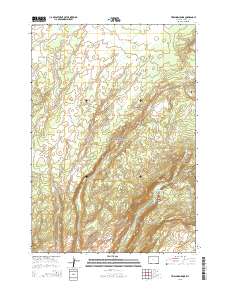 Trischman Knob 2015 topographic map thumbnail