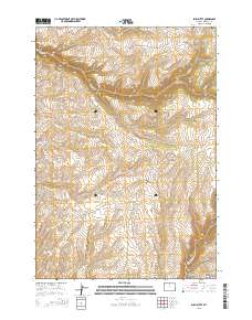Bush Butte 2015 topographic map thumbnail