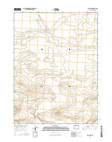 Bush Lake 2015 topographic map thumbnail