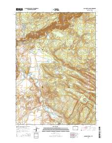 Canyon Village 2015 topographic map thumbnail