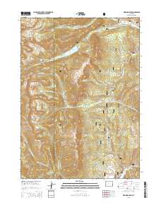 Wyoming Peak 2015 topographic map thumbnail