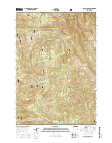 Walker Mountain 2015 topographic map thumbnail