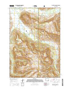 Yellowstone Point 2015 topographic map thumbnail
